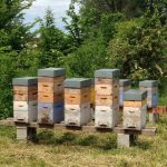 28fa8e695c76408eff971eb1af39f332