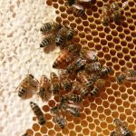 fbf70b02658caf7b906d5fe21076eeb9